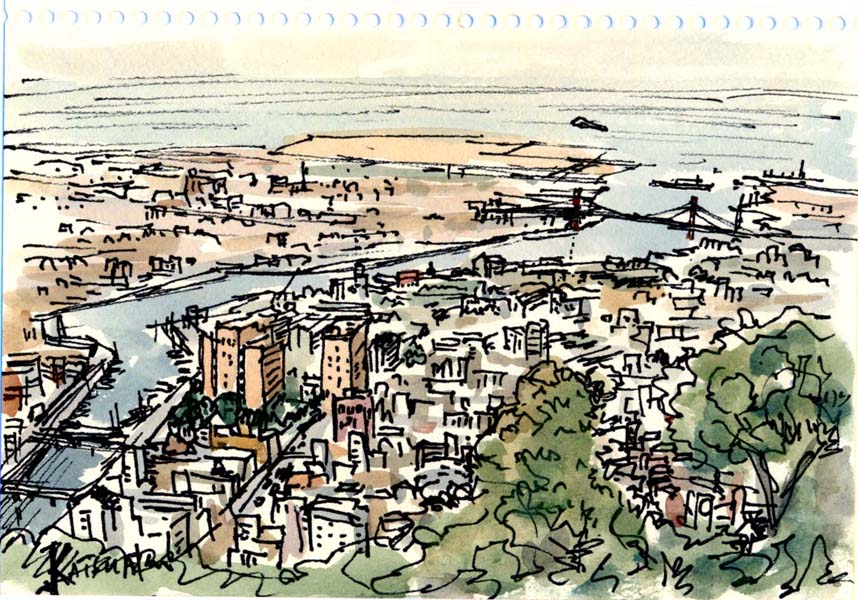 Tokushima Bird's Eye View